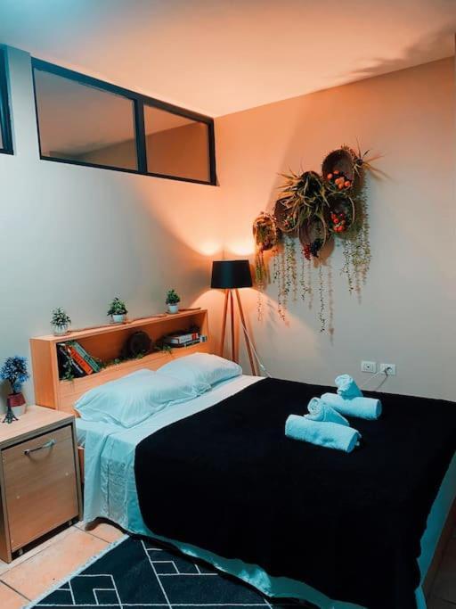 City Central Amazona Appartment Tiranë Ngoại thất bức ảnh