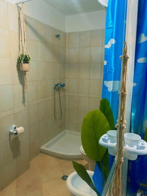 City Central Amazona Appartment Tiranë Ngoại thất bức ảnh