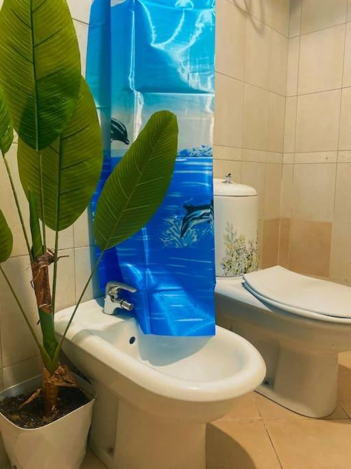 City Central Amazona Appartment Tiranë Ngoại thất bức ảnh
